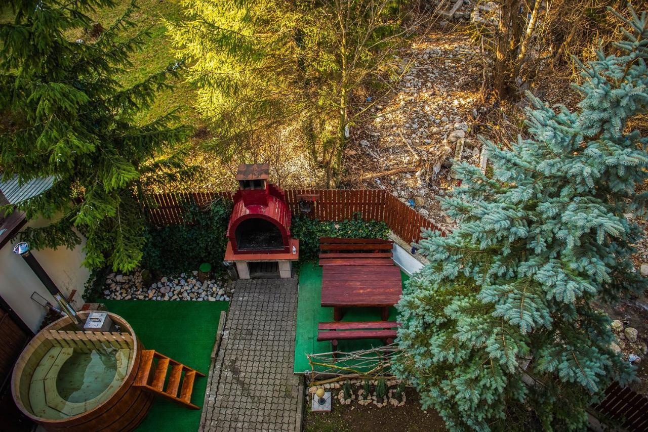 Casa Maia Hotell Buşteni Exteriör bild