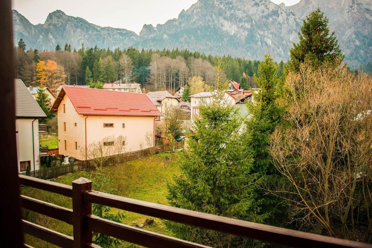 Casa Maia Hotell Buşteni Exteriör bild