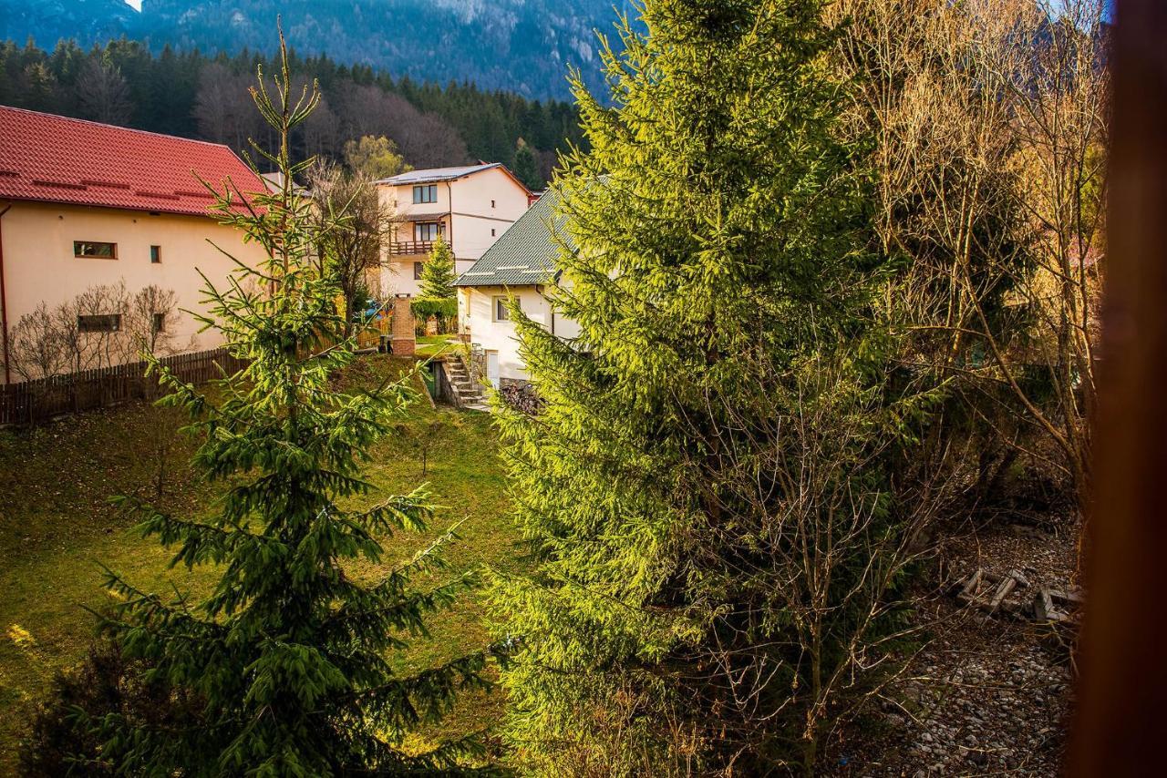 Casa Maia Hotell Buşteni Exteriör bild