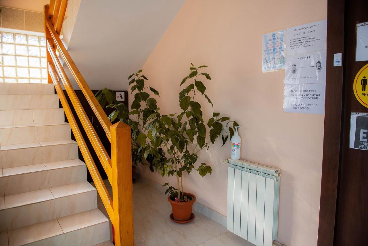 Casa Maia Hotell Buşteni Exteriör bild